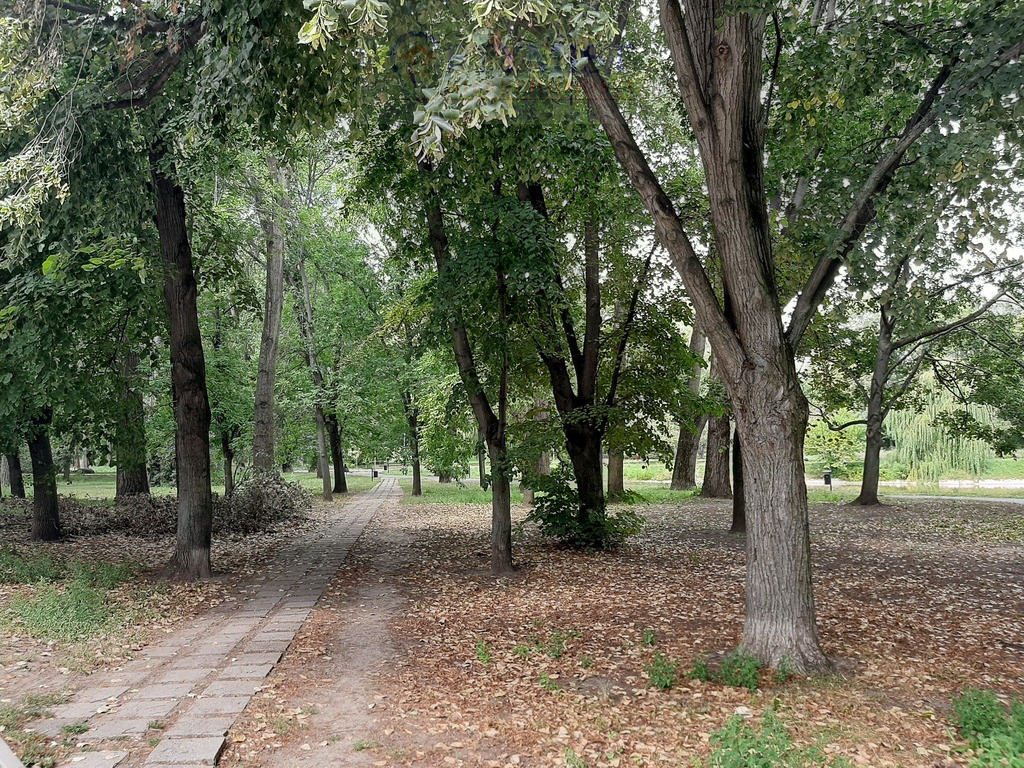 Lokal Wynajem Warszawa Mokotów 19