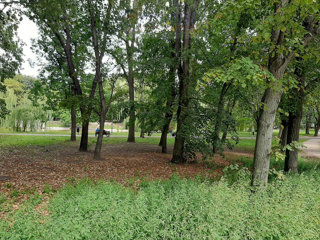 Lokal Wynajem Warszawa Mokotów 20