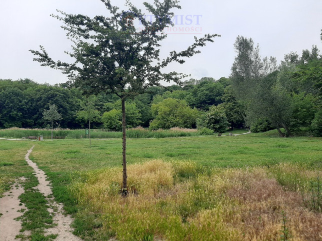 Mieszkanie Sprzedaż Warszawa Mokotów Dolna 19