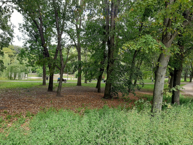 Lokal Wynajem Warszawa Mokotów 20