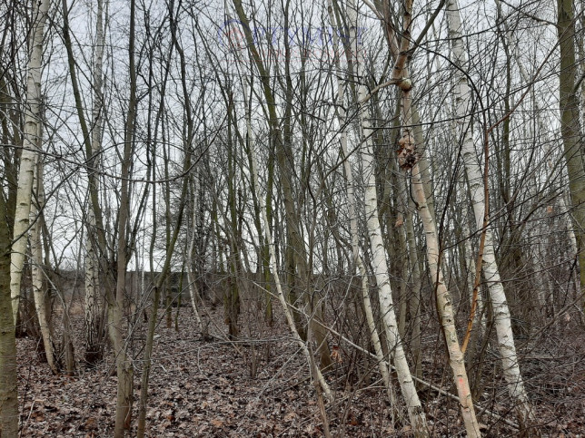 Działka Sprzedaż Warszawa Ursynów Katarynki 31 9