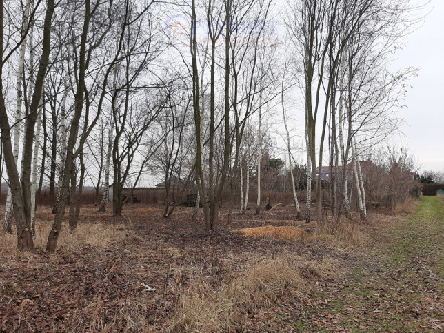 Działka Sprzedaż Warszawa Ursynów Katarynki 31 11
